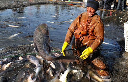 利用超聲波抓魚你試過嗎?快來看看吧!