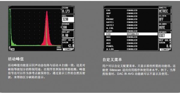 英國Sitescan D20便攜式超聲波探傷儀